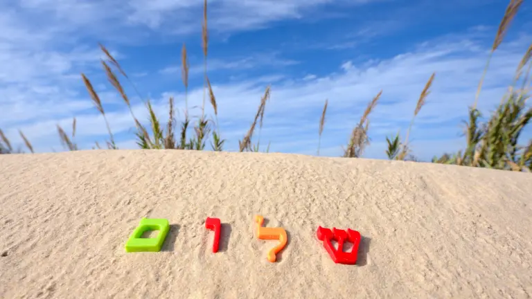 The Hebrew word "Shalom" stuck in a sand dune.